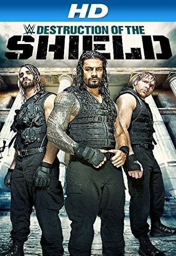 Journey to SummerSlam: The Destruction of the Shield (2014)